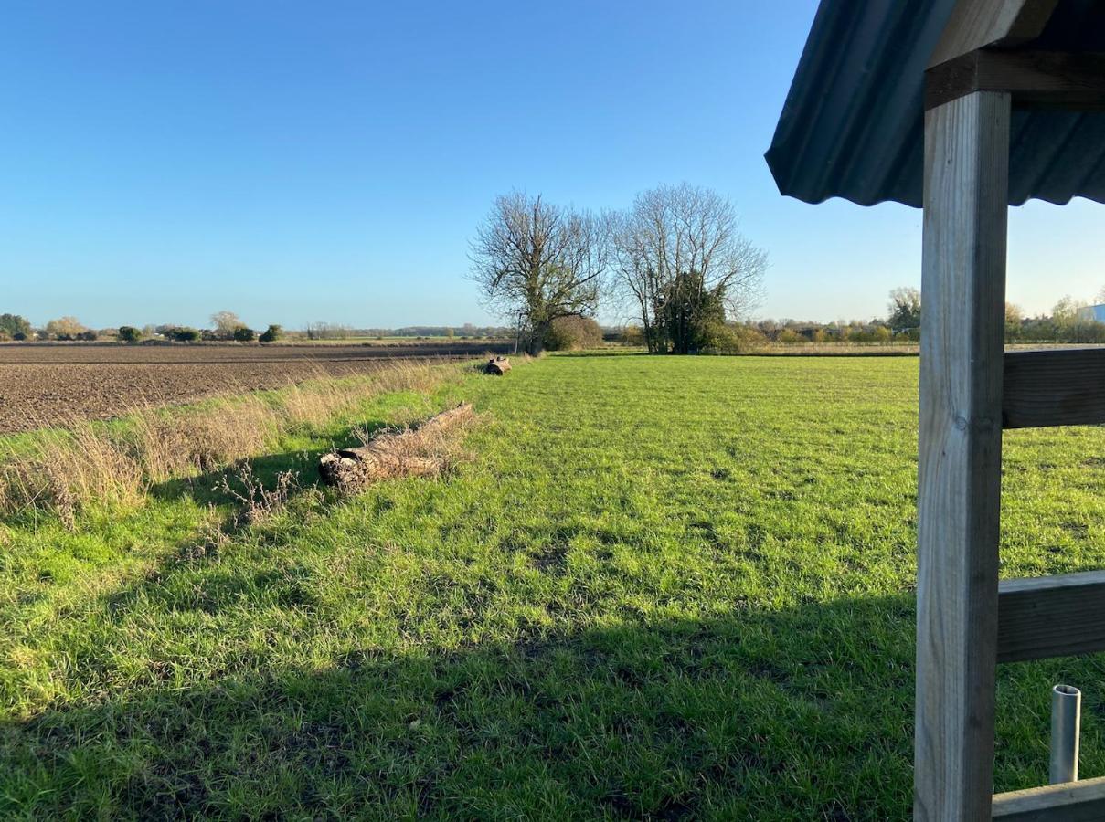 Fen Meadows Glamping - Luxury Cabins And Bell Tents Cambridge  Esterno foto