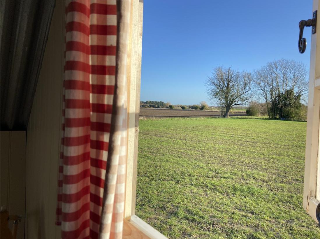 Fen Meadows Glamping - Luxury Cabins And Bell Tents Cambridge  Esterno foto