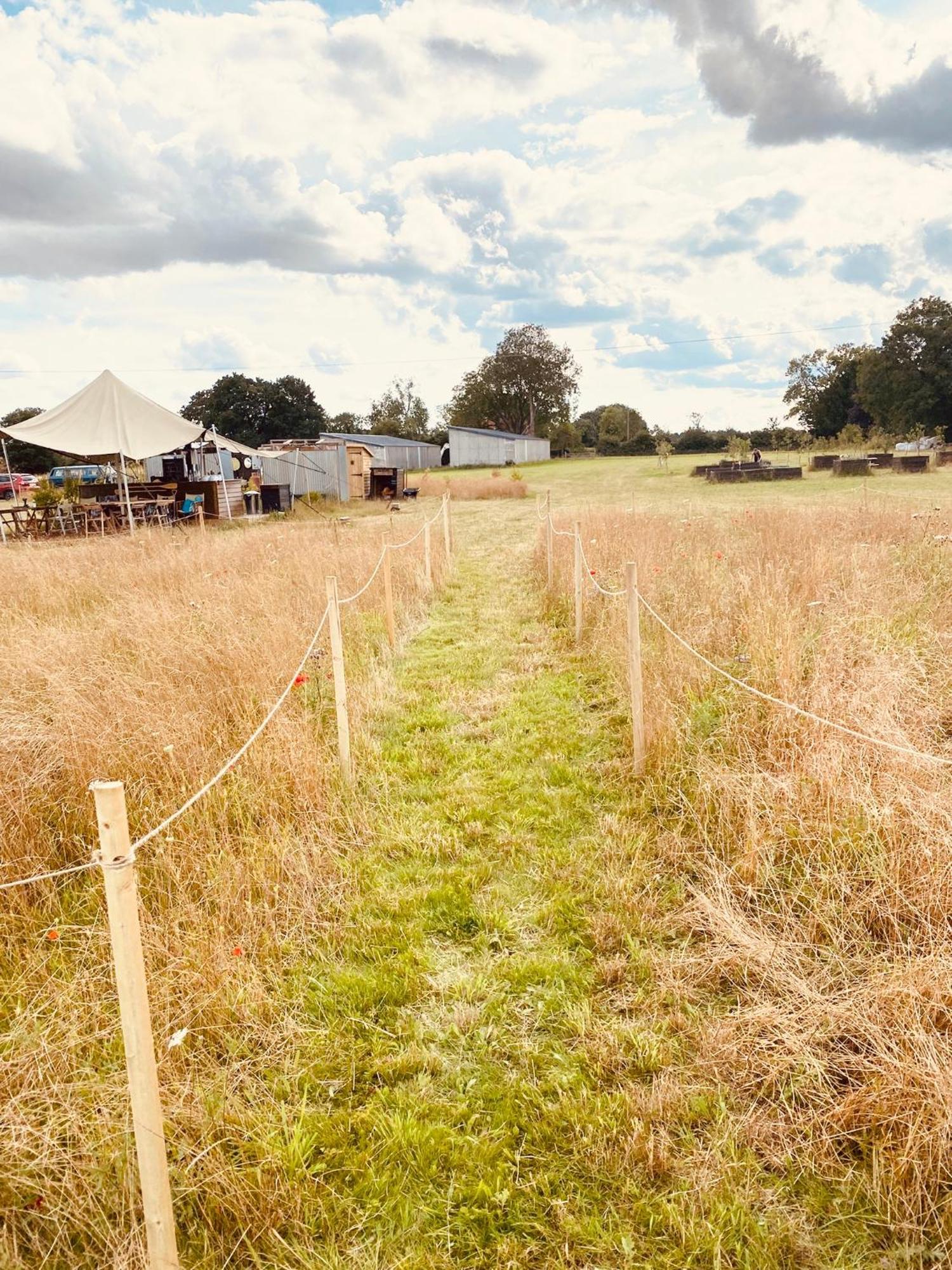 Fen Meadows Glamping - Luxury Cabins And Bell Tents Cambridge  Esterno foto
